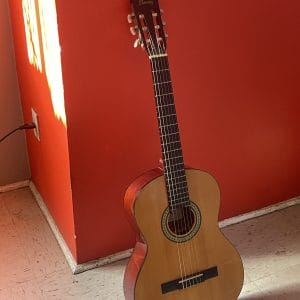 Guitarra Ibáñez